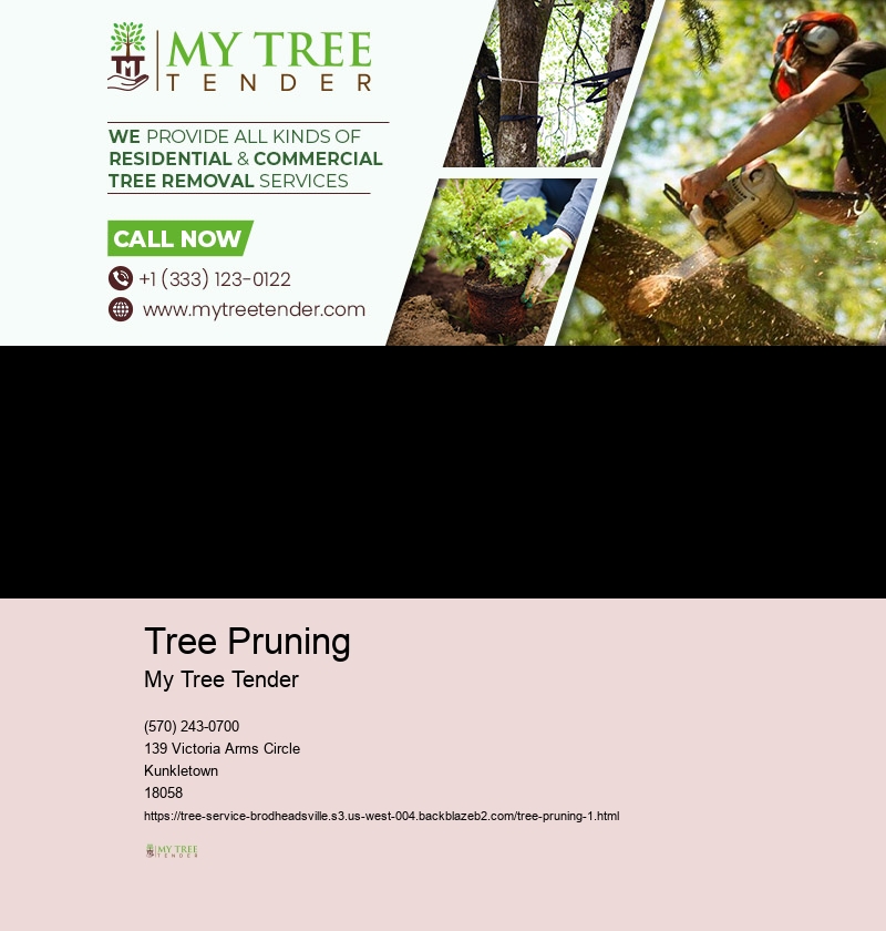 Tree Pruning